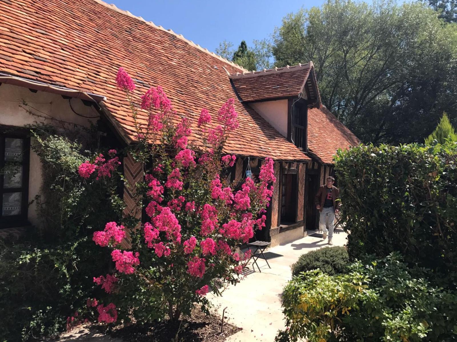 Domaine De Grand-Pas Vernou-en-Sologne Exterior foto